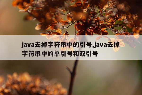 java去掉字符串中的引号,java去掉字符串中的单引号和双引号