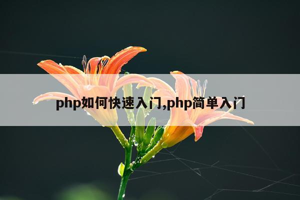 php如何快速入门,php简单入门