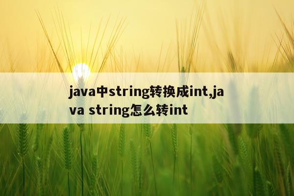 java中string转换成int,java string怎么转int