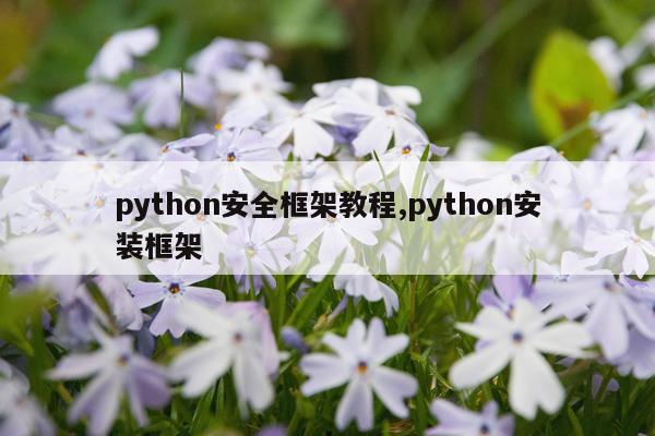 python安全框架教程,python安装框架