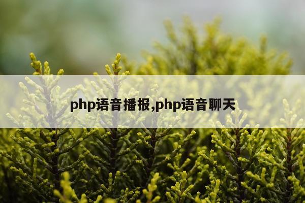 php语音播报,php语音聊天