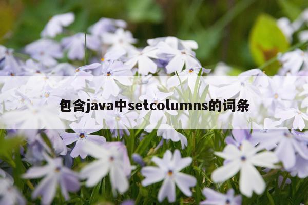 包含java中setcolumns的词条