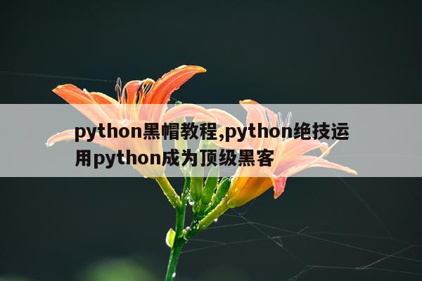 python黑帽教程,python绝技运用python成为顶级黑客