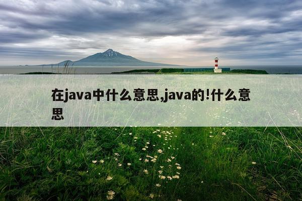 在java中什么意思,java的!什么意思