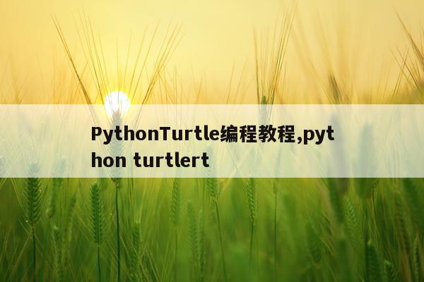 PythonTurtle编程教程,python turtlert