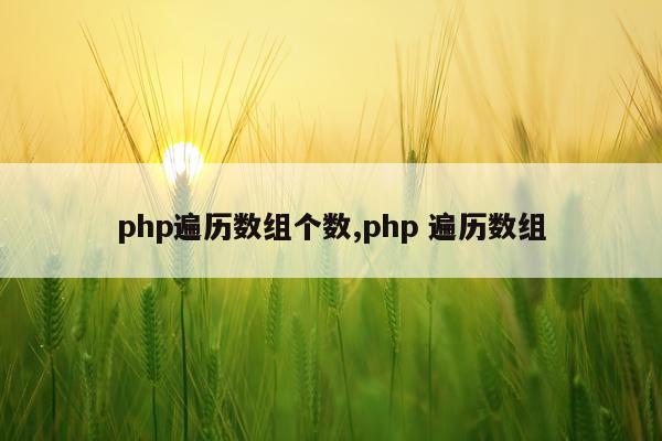 php遍历数组个数,php 遍历数组
