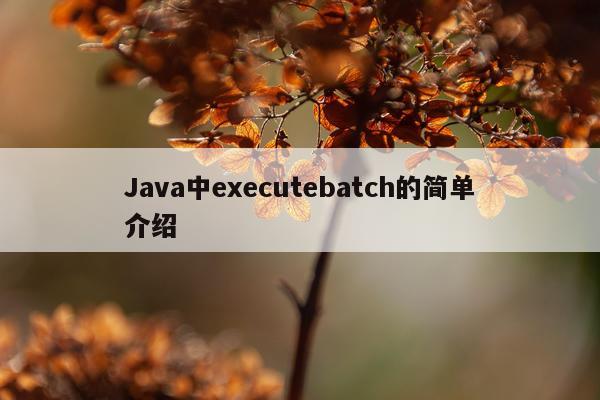 Java中executebatch的简单介绍