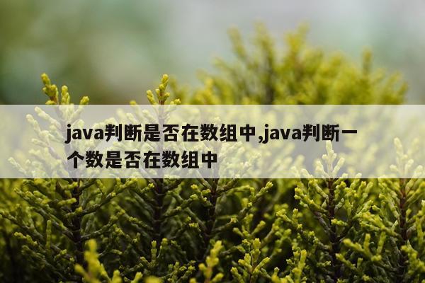 java判断是否在数组中,java判断一个数是否在数组中