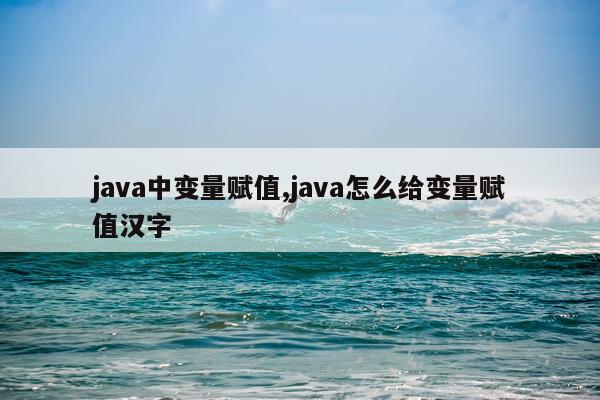 java中变量赋值,java怎么给变量赋值汉字