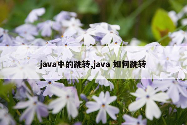 java中的跳转,java 如何跳转