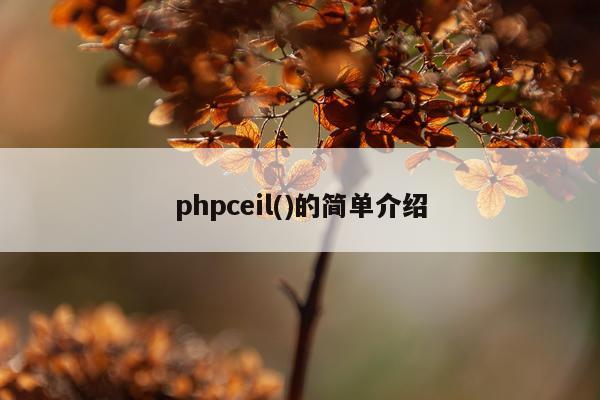 phpceil()的简单介绍