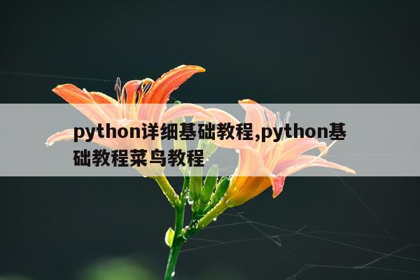 python详细基础教程,python基础教程菜鸟教程