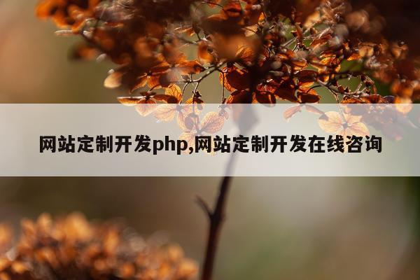 网站定制开发php,网站定制开发在线咨询