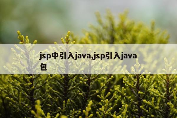 jsp中引入java,jsp引入java包