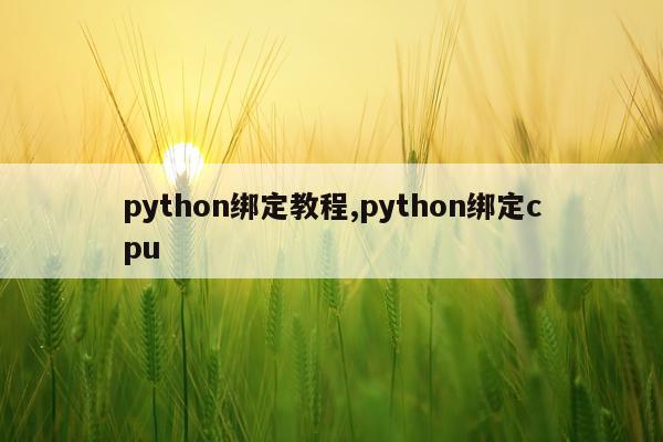 python绑定教程,python绑定cpu