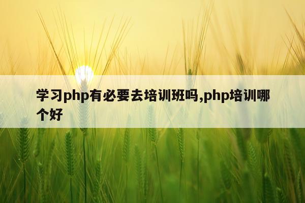学习php有必要去培训班吗,php培训哪个好