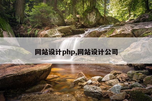 网站设计php,网站设计公司