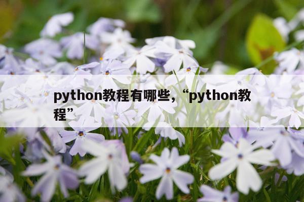 python教程有哪些,“python教程”