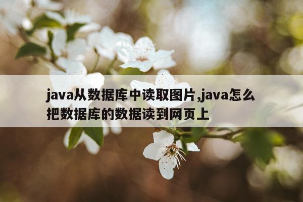 java从数据库中读取图片,java怎么把数据库的数据读到网页上