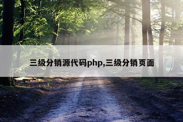 三级分销源代码php,三级分销页面