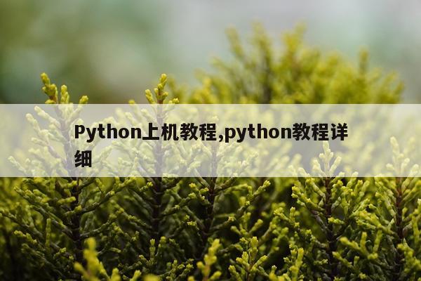 Python上机教程,python教程详细