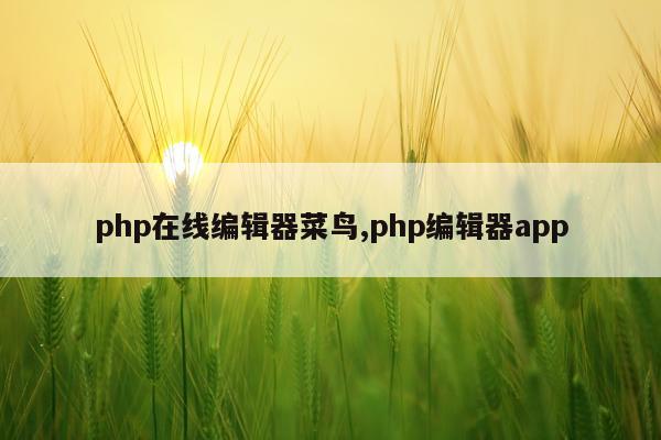 php在线编辑器菜鸟,php编辑器app