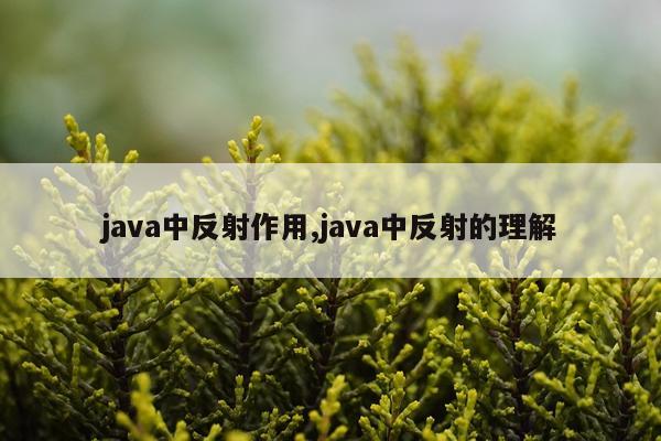 java中反射作用,java中反射的理解