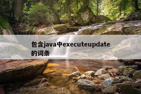 包含java中executeupdate的词条