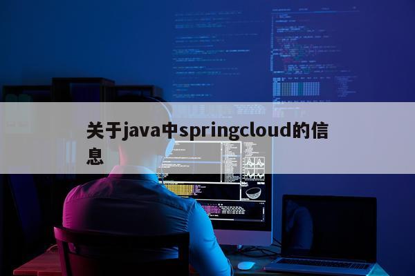 关于java中springcloud的信息