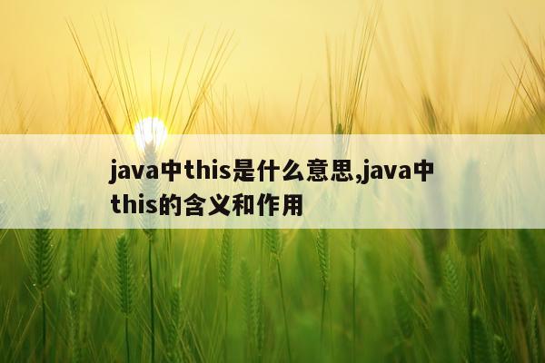 java中this是什么意思,java中this的含义和作用