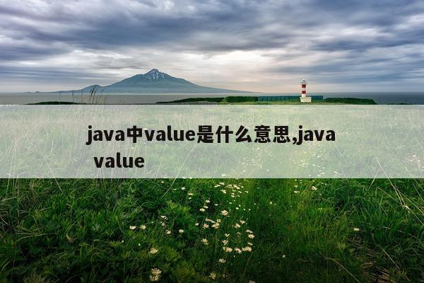 java中value是什么意思,java value