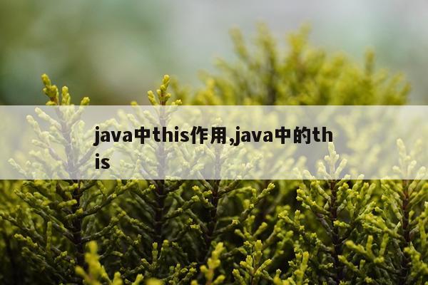 java中this作用,java中的this