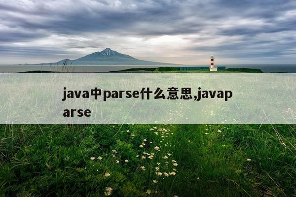 java中parse什么意思,javaparse