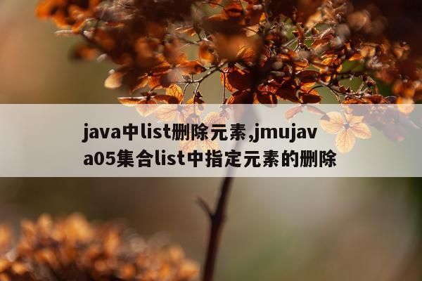 java中list删除元素,jmujava05集合list中指定元素的删除
