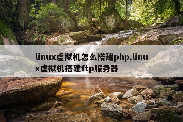 linux虚拟机怎么搭建php,linux虚拟机搭建ftp服务器
