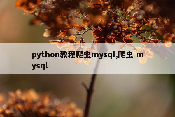 python教程爬虫mysql,爬虫 mysql