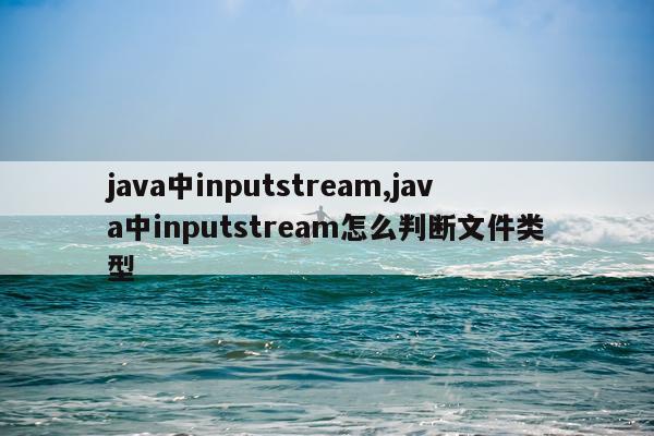 java中inputstream,java中inputstream怎么判断文件类型
