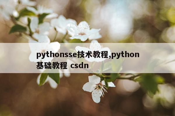 pythonsse技术教程,python基础教程 csdn