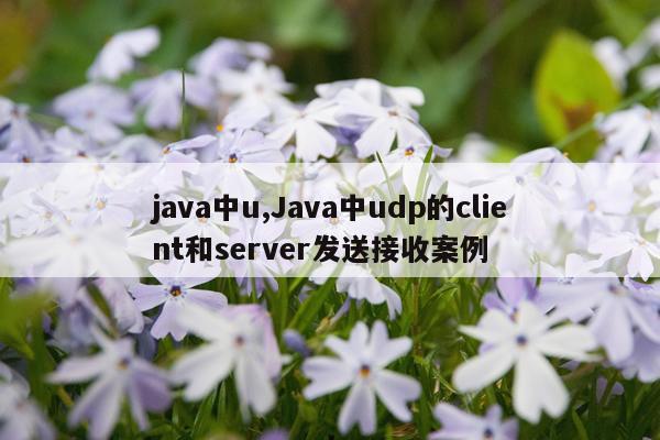 java中u,Java中udp的client和server发送接收案例