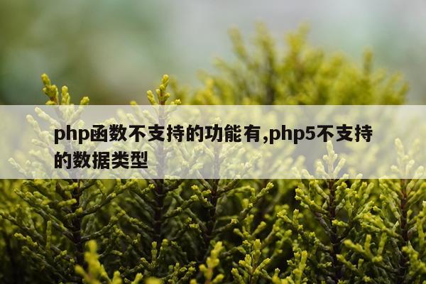 php函数不支持的功能有,php5不支持的数据类型