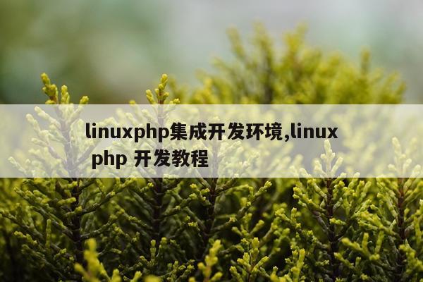 linuxphp集成开发环境,linux php 开发教程