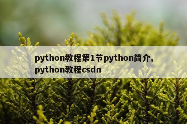 python教程第1节python简介,python教程csdn