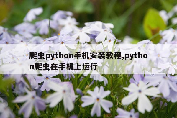 爬虫python手机安装教程,python爬虫在手机上运行