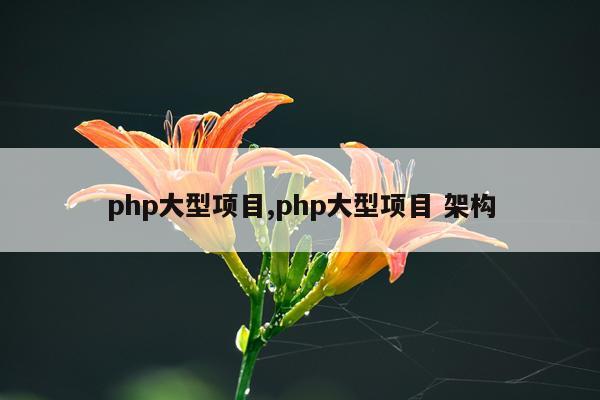 php大型项目,php大型项目 架构
