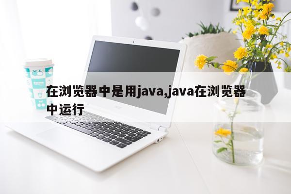 在浏览器中是用java,java在浏览器中运行