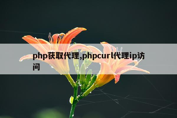 php获取代理,phpcurl代理ip访问