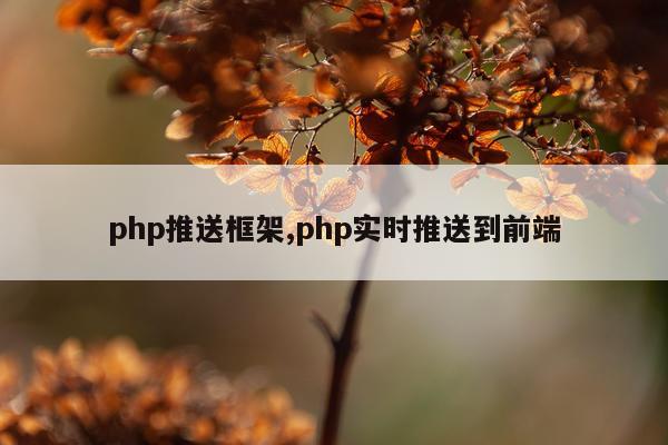 php推送框架,php实时推送到前端