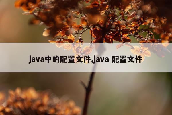 java中的配置文件,java 配置文件