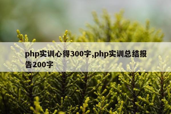 php实训心得300字,php实训总结报告200字