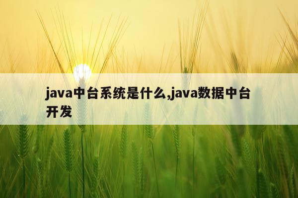 java中台系统是什么,java数据中台开发